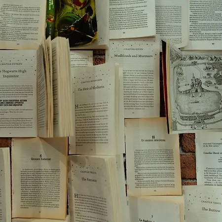 Apartment Harry Potter - Sejour Magique A Poudlard